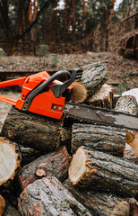 A professional red chainsaw lies on sawn logs, pine firewood at the workplace of a lumberjack in the forest.