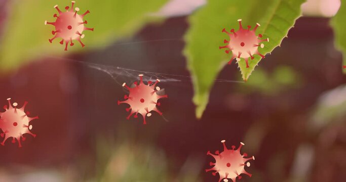 Stop symbol over covid-19 cells icons floating against mosquito in a spider web on tree leaves