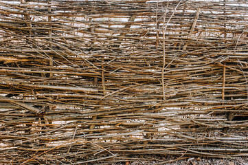 Background, texture of acacia branches in the form of a fence.