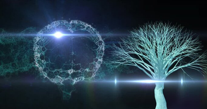Animation of brain rotating over black background with lights and tree