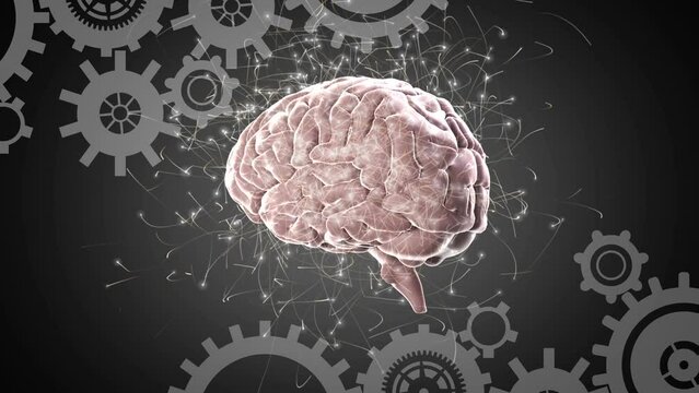 Animation of brain rotating over grey background with cogs and neuronal connections