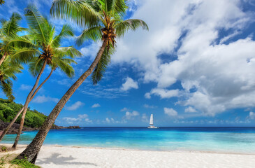 Fototapeta na wymiar Sunny beach with Coco palms and a sailing boat in the turquoise sea in Paradise island. 