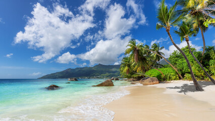 Exotic tropical Sunny beach and coconut palm trees on Seychelles island. Summer vacation and tropical beach concept.