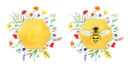 Fototapeta na wymiar Honeycombs with wildflowers and honey bee, Watercolor illustration
