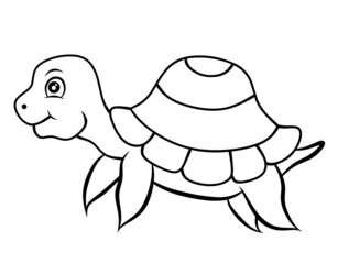 Little sea turtle coloring page isolated image character