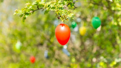 easter eggs on the tree in nature colorful