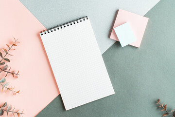 Blank notepad, writing paper and eucalyptus branches on a colored background. Top view.