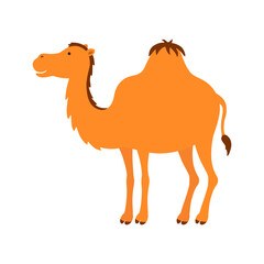 Cartoon camel isolated on white background. Eps10