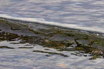 Small Wavelet Breaks on Shore of Puget Sound