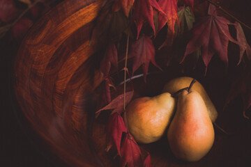 Still life of pears with fall maple leaves with copy space © DTowersPhoto