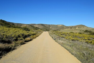 Dirt Road to Somewere