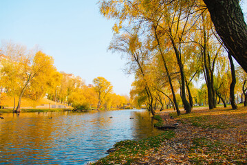 Golden autumn trees. Path in fallen leaves near the canal in sunny weather. Beautiful colorful trees along the river.