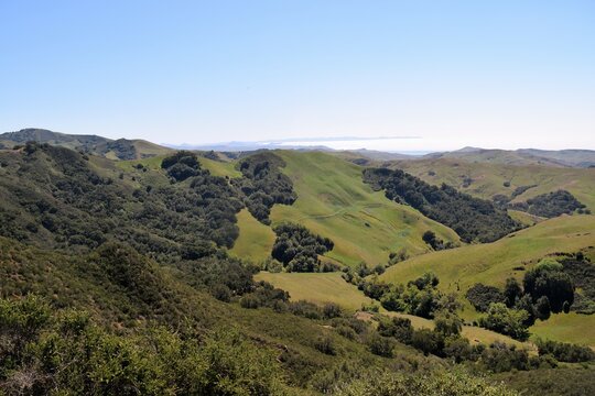 Green Hills Near Pacific Ocean