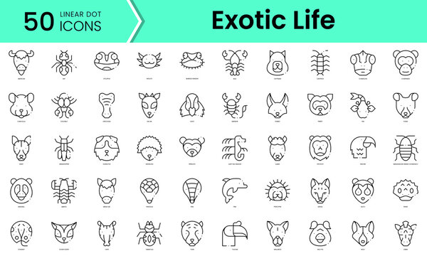 Set of exotic life icons. Line art style icons bundle. vector illustration