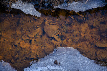 Detail of polluted stream bed. Polluted lifeless stream. Nature pollution concept. Stream in winter...