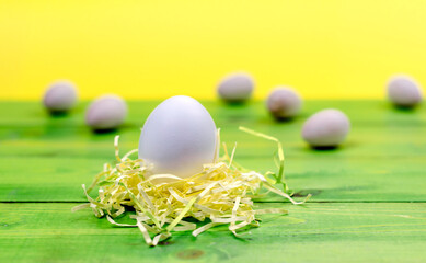 Easter egg in the nest on a green background.Postcard with space for text