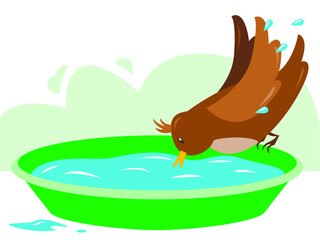 Vector illustration - a brown bird sits on the edge of a garden tub and drinks clean water isolated. Concept - caring for birds and thirst