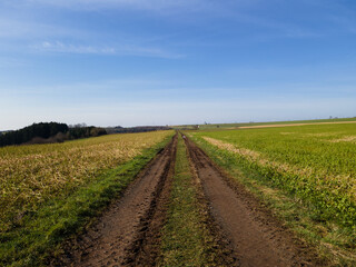 Fototapeta na wymiar Tractor track between agriculture fields in spring with blue sky