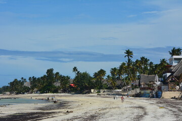 Fototapeta na wymiar Zanzibarska plaża