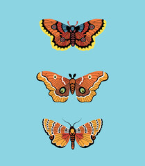 Butterflies. Set of elements for design. Vector vintage classic illustration. Colorful