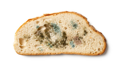 Slice of spoiled bread isolated on a white background. Wheat bread piece with various kinds of mold cutout. Moldy fungus on rotten bread close-up. Biodegradable food waste concept.