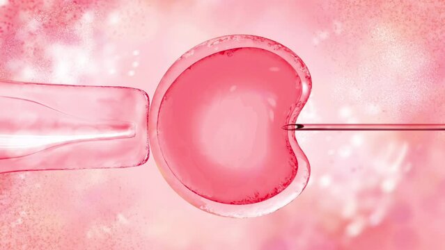 3d illustration of in vitro fertilization under a microscope. egg, medical needle, test tube, pipette. In fashion pink colours. Close-up, microscope, reprudoctology, IVF advertising video footage.High