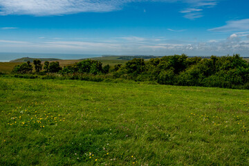 Südengland Küste - Grünes Gars