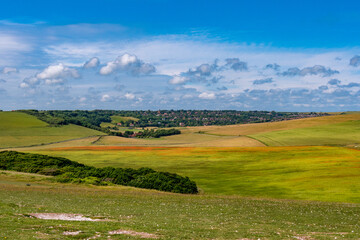 Obraz premium Buntes Feld in schöner Landschaft
