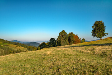Pieniny © piotrwolak