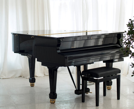 black grand piano on white background