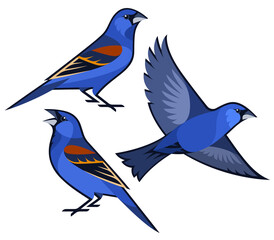 Stylized Birds - Blue Grosbeak