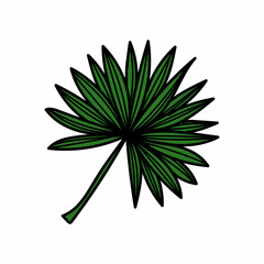 A simple tropical palm leaf icon. Hand-drawn element in a doodle style sketch. Palm. Tropics, summer. Isolated vector illustration.