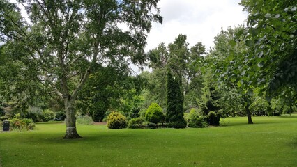 Park im grünen mit Bäumen