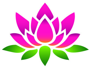 pink lotus flower