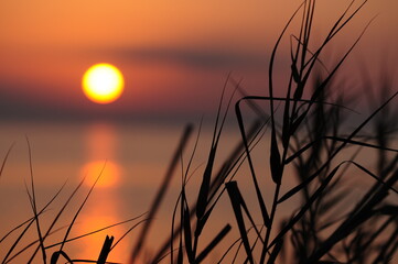 Obraz premium sunset over the Marsh Land