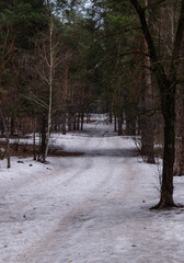 Path in the forest with snow on the ground in cloudy day. Winter forest