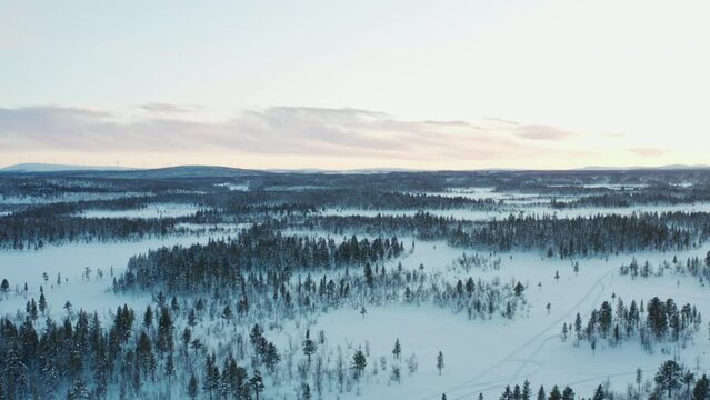 Aerial view winter sweden. Beautiful forest landscape at sunset in snowy scandinavia.