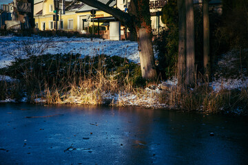 Gefrorener Teich in einem Wiener Park