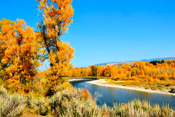 A river in the Grand Tetons surrounded by fall colors