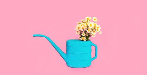 Blue watering can with flowers on pink background, gardening concept
