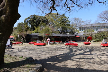  A Japanese restaurant and cafe in Maruyama-koen Park at Higashiyama in Kyoto City in Japan 日本の京都市東山にある円山公園の茶店