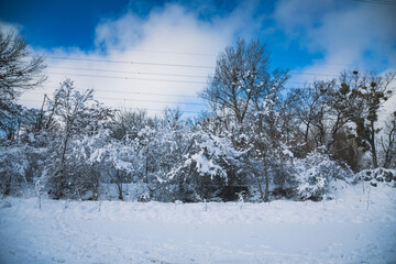 Obraz premium Winterlandschaft