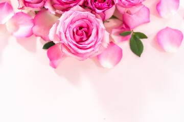 Pink roses
