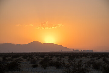 Sonoran Sunsets
