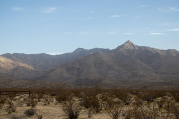 Mojave Desert Dunes