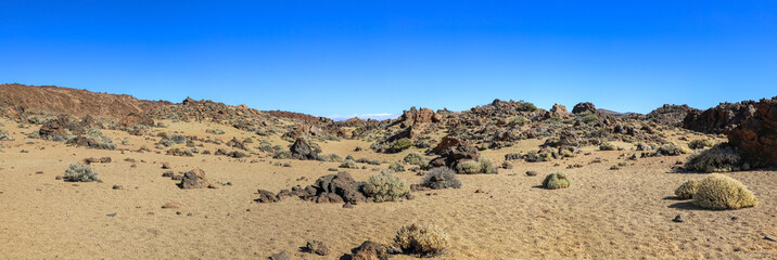 Panoramic view of short shrubs and rocky landscape in El Teide National Park