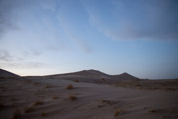 Mojave Desert Dunes
