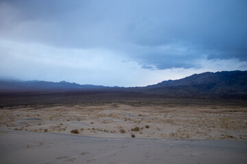 Fototapeta na wymiar Mojave Desert Dunes