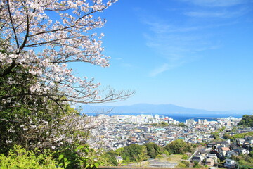 春の慈眼寺公園から眺めた景色