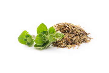 Oregano Bright Green Leaves and Dry. Fresh and Dry Oregano Isolated on a White Background. Marjoram Herb
